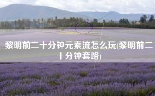 黎明前二十分钟元素流怎么玩(黎明前二十分钟套路)