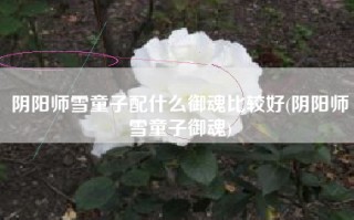 阴阳师雪童子配什么御魂比较好(阴阳师雪童子御魂)