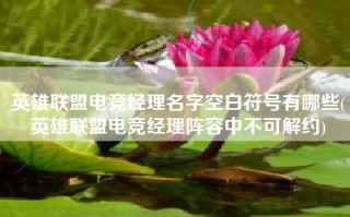 英雄联盟电竞经理名字空白符号有哪些(英雄联盟电竞经理阵容中不可解约)