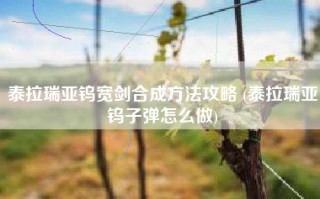 泰拉瑞亚钨宽剑合成方法攻略 (泰拉瑞亚钨子弹怎么做)