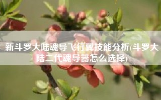 新斗罗大陆魂导飞行翼技能分析(斗罗大陆二代魂导器怎么选择)