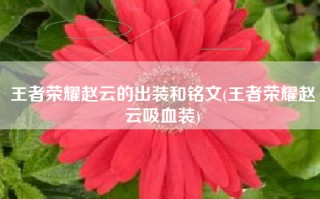 王者荣耀赵云的出装和铭文(王者荣耀赵云吸血装)