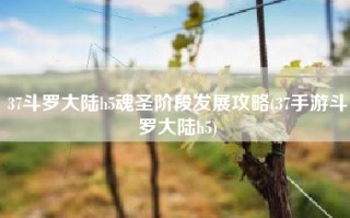 37斗罗大陆h5魂圣阶段发展攻略(37手游斗罗大陆h5)