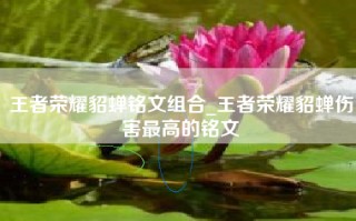 王者荣耀貂蝉铭文组合_王者荣耀貂蝉伤害最高的铭文