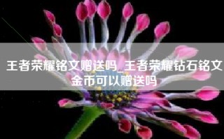 王者荣耀铭文赠送吗_王者荣耀钻石铭文金币可以赠送吗
