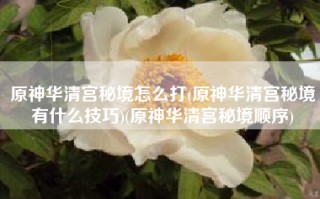 原神华清宫秘境怎么打(原神华清宫秘境有什么技巧)(原神华清宫秘境顺序)
