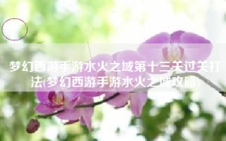 梦幻西游手游水火之域第十三关过关打法(梦幻西游手游水火之域攻略)