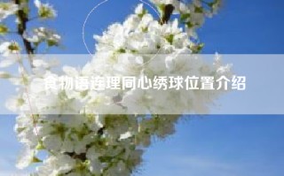 食物语连理同心绣球位置介绍
