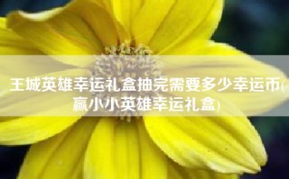 王城英雄幸运礼盒抽完需要多少幸运币(赢小小英雄幸运礼盒)