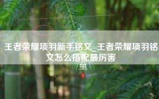 王者荣耀项羽新手铭文_王者荣耀项羽铭文怎么搭配最厉害