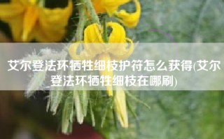 艾尔登法环牺牲细枝护符怎么获得(艾尔登法环牺牲细枝在哪刷)