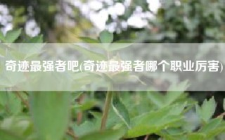 奇迹最强者吧(奇迹最强者哪个职业厉害)