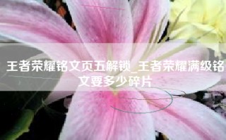 王者荣耀铭文页五解锁_王者荣耀满级铭文要多少碎片