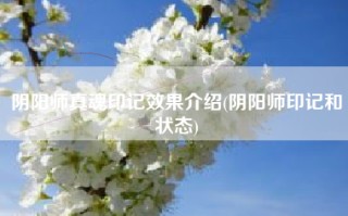 阴阳师真魂印记效果介绍(阴阳师印记和状态)