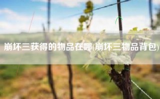 崩坏三获得的物品在哪(崩坏三物品背包)