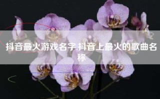 抖音最火游戏名字,抖音上最火的歌曲名称