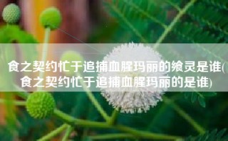 食之契约忙于追捕血腥玛丽的飨灵是谁(食之契约忙于追捕血腥玛丽的是谁)