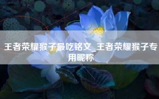 王者荣耀猴子最吃铭文_王者荣耀猴子专用昵称