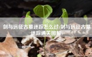 剑与远征古墓迷踪怎么过(剑与远征古墓迷踪通关图解)