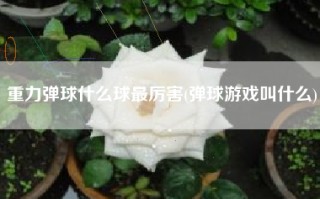 重力弹球什么球最厉害(弹球游戏叫什么)