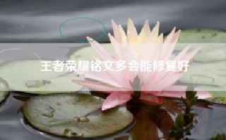 王者荣耀铭文多会能修复好