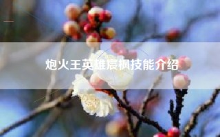 炮火王英雄宸枫技能介绍