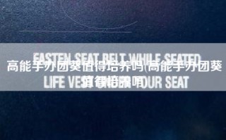 高能手办团葵值得培养吗(高能手办团葵值得培养吗)