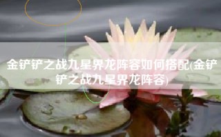 金铲铲之战九星界龙阵容如何搭配(金铲铲之战九星界龙阵容)