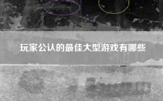 玩家公认的最佳大型游戏有哪些