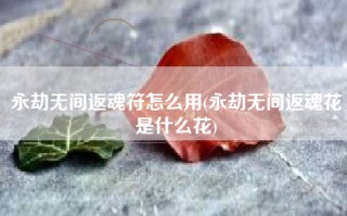 永劫无间返魂符怎么用(永劫无间返魂花是什么花)