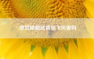 绝世秘籍武将张飞厉害吗