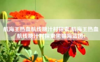 航海王热血航线糖汁村探索(航海王热血航线糖汁村探索黑猫海盗团)