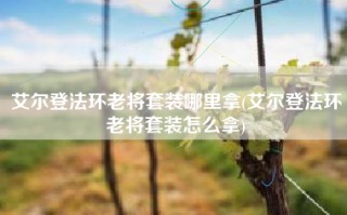 艾尔登法环老将套装哪里拿(艾尔登法环老将套装怎么拿)