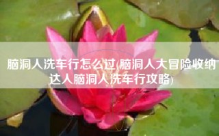 脑洞人洗车行怎么过(脑洞人大冒险收纳达人脑洞人洗车行攻略)