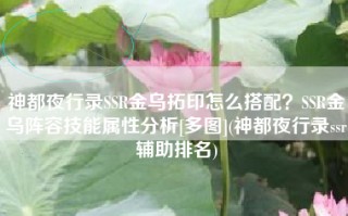 神都夜行录SSR金乌拓印怎么搭配？SSR金乌阵容技能属性分析[多图](神都夜行录ssr辅助排名)