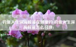 钓鱼人生深海鲸鲨在哪里钓(钓鱼人生深海鲸鲨怎么召唤)