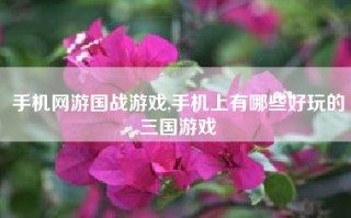 手机网游国战游戏,手机上有哪些好玩的三国游戏