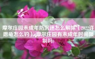 摩尔庄园未成年防沉迷怎么解除（2022许愿龟怎么钓）(摩尔庄园有未成年时间限制吗)