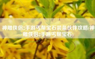 神雕侠侣2手游丐帮宝石装备伙伴攻略(神雕侠侣2手游丐帮宝石)
