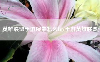 英雄联盟手游腕豪怎么玩(手游英雄联盟)