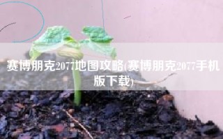 赛博朋克2077地图攻略(赛博朋克2077手机版下载)