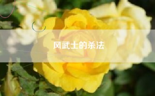 风武士的杀法
