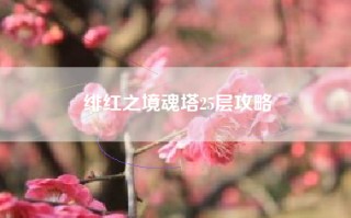 绯红之境魂塔25层攻略