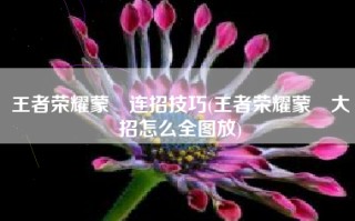 王者荣耀蒙犽连招技巧(王者荣耀蒙犽大招怎么全图放)