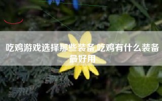 吃鸡游戏选择那些装备,吃鸡有什么装备最好用