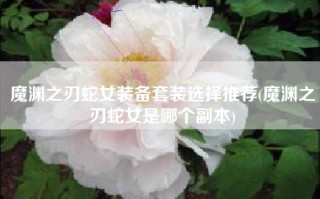 魔渊之刃蛇女装备套装选择推荐(魔渊之刃蛇女是哪个副本)