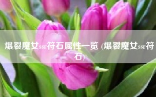 爆裂魔女ssr符石属性一览 (爆裂魔女ssr符石)