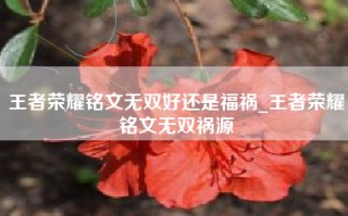 王者荣耀铭文无双好还是福祸_王者荣耀铭文无双祸源