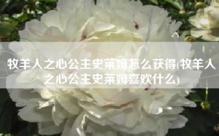 牧羊人之心公主史莱姆怎么获得(牧羊人之心公主史莱姆喜欢什么)