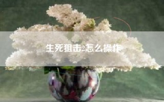 生死狙击2怎么操作